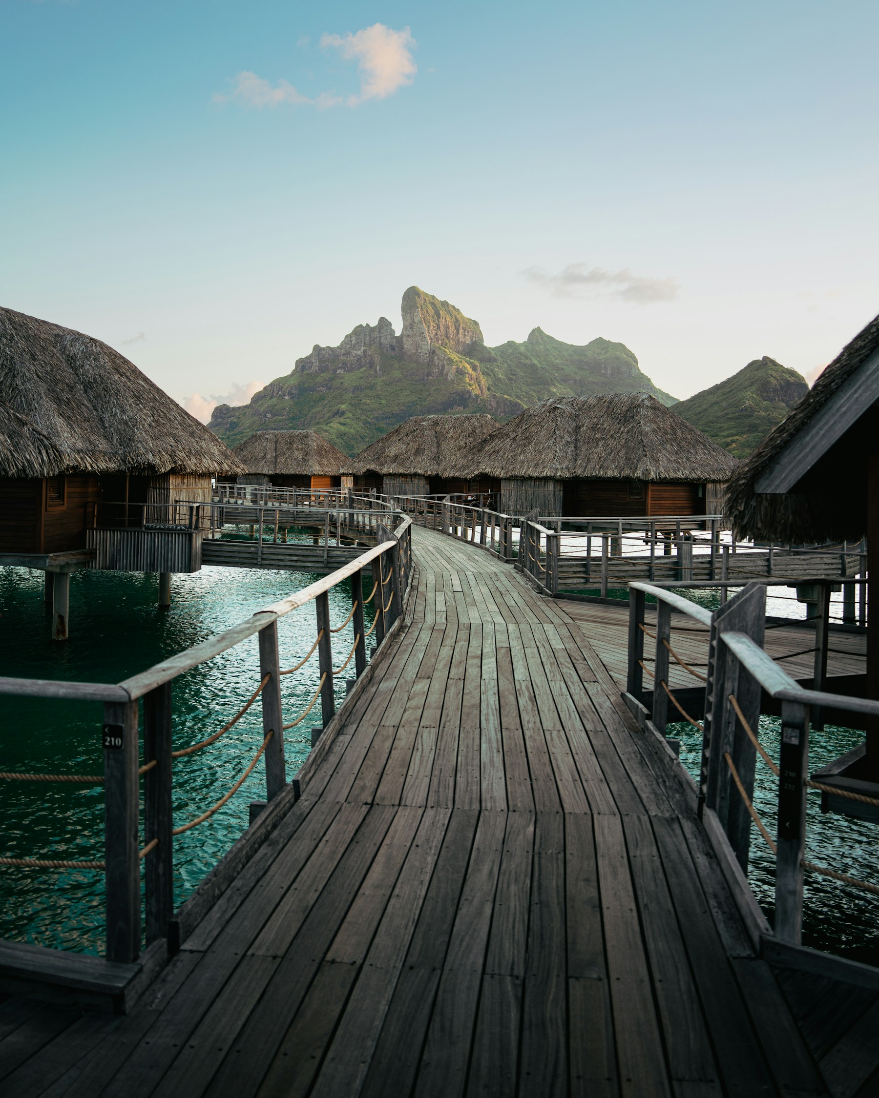 Palm-fringed shoreline beside the lagoon at Bora Bora