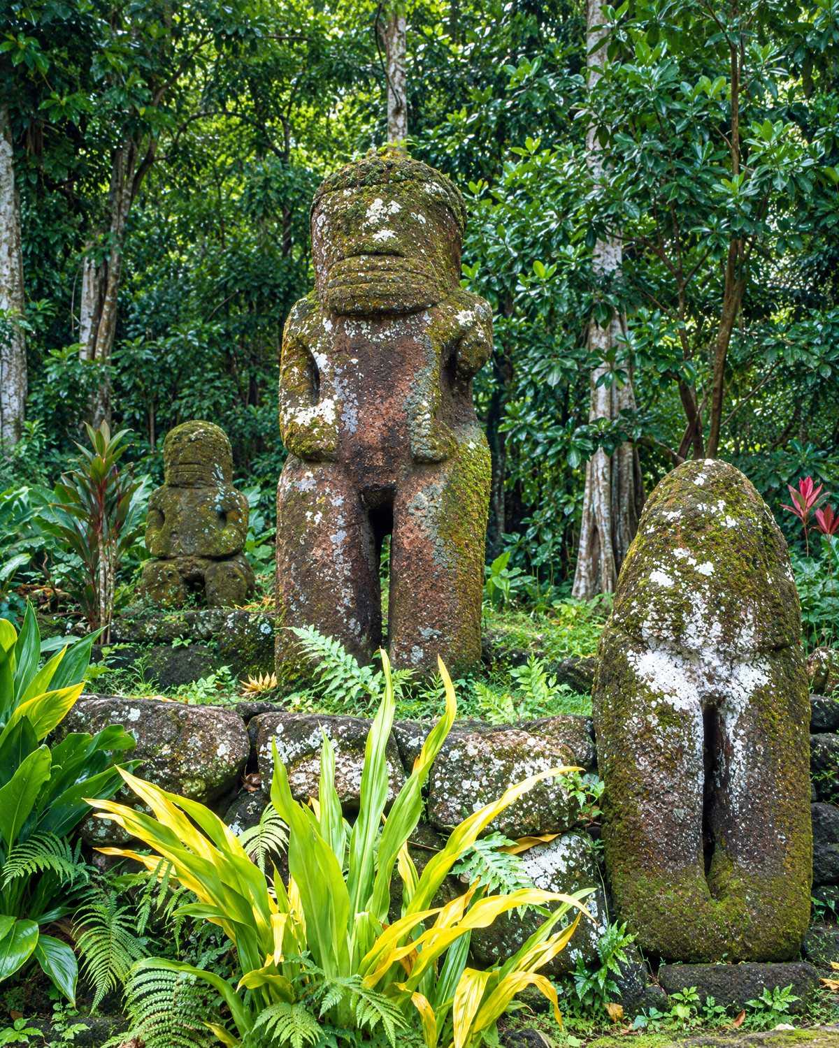 Takai'i at Iipona, Puamau, Hiva Oa. Over two metres of red volcanic stone, reached by a full 4WD day from Atuona.