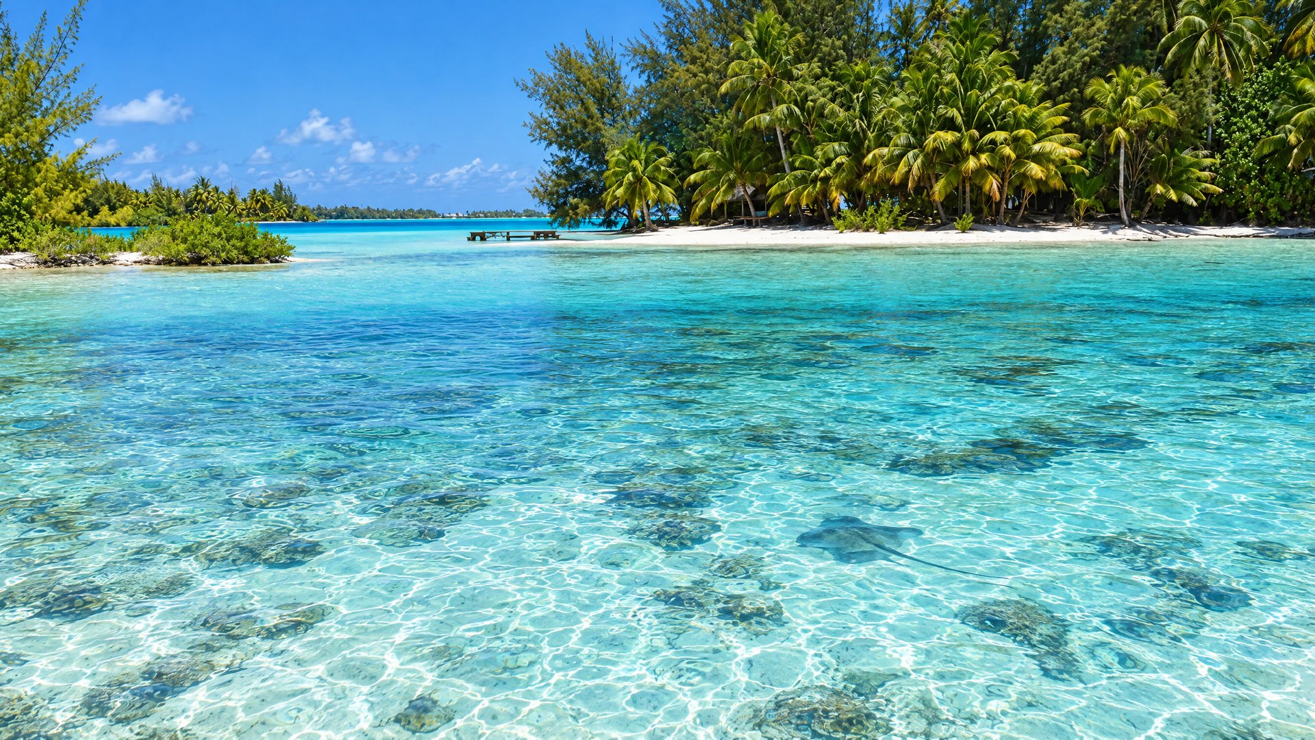 Why the lagoon is blue