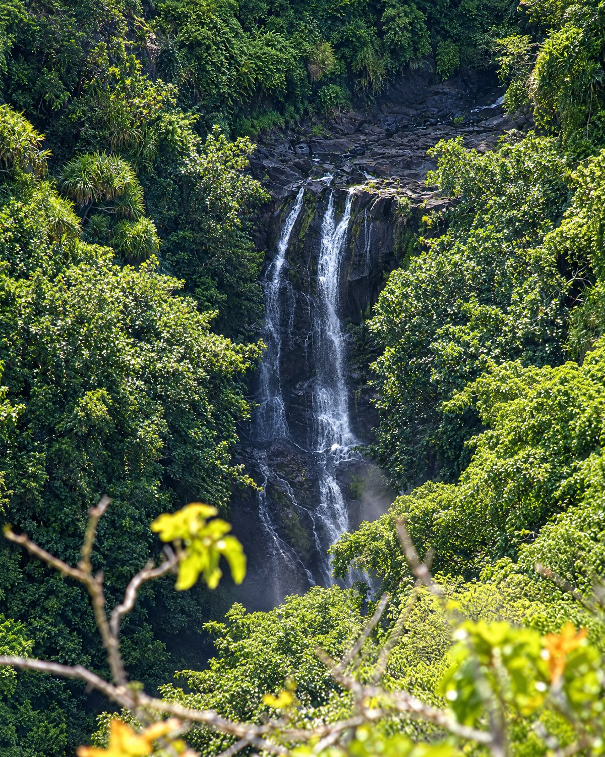 The Vaipo falls