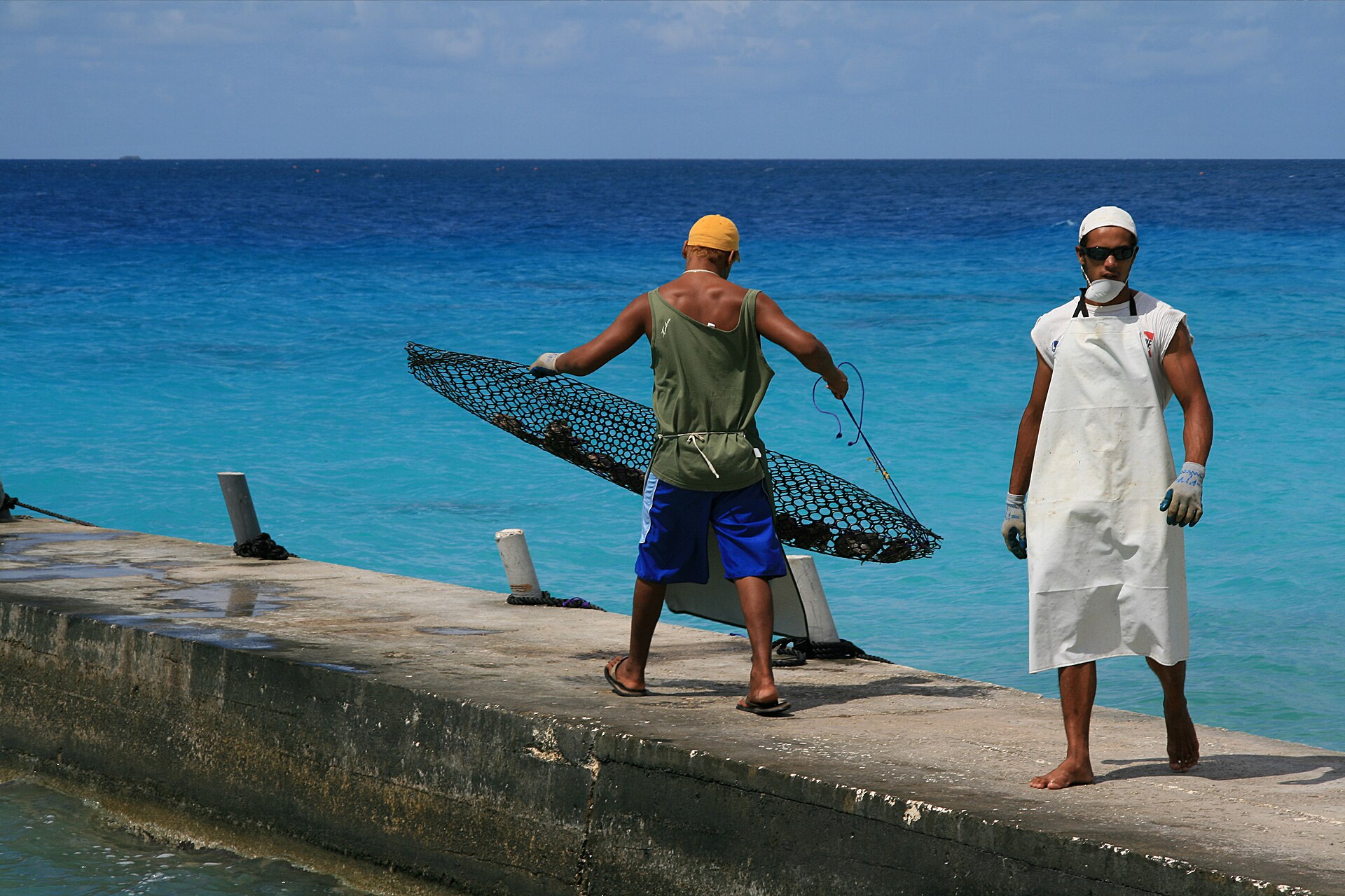 Workers hauling oyster grids at a Rangiroa pearl farm