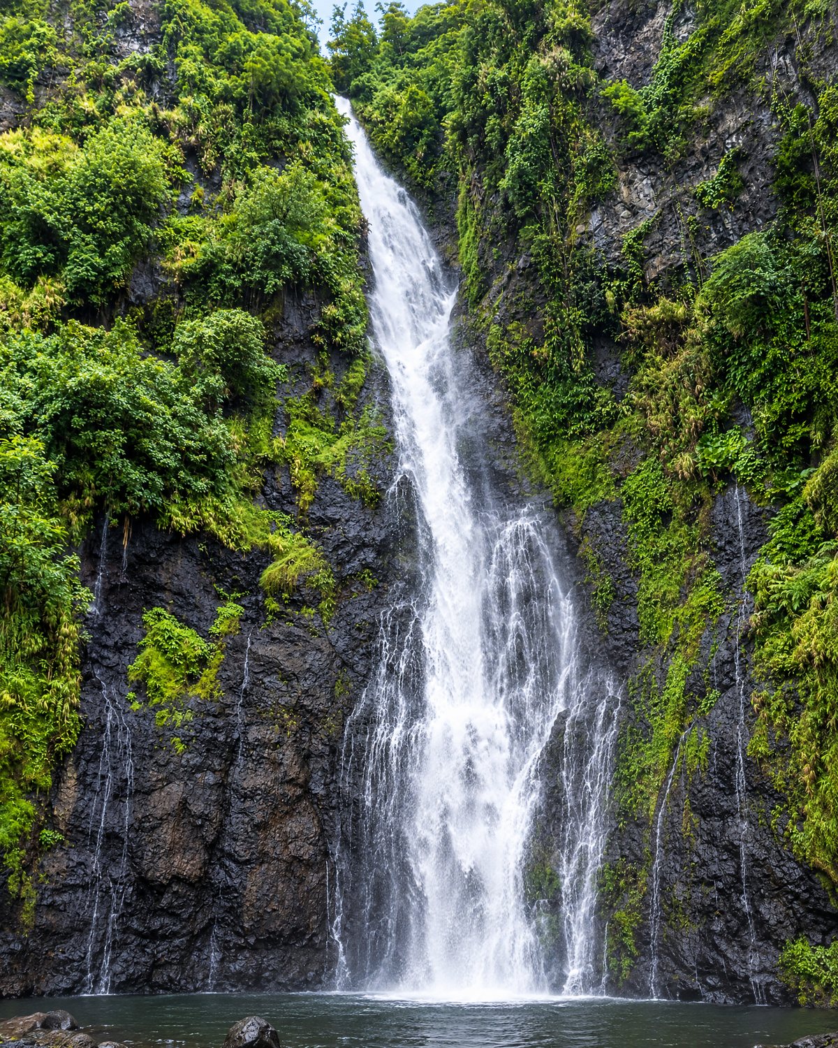 The Faarumai waterfalls at Tiarei on the east coast: Vaimahuta, 80 m, is a few minutes from the car park; the other two are a twenty-minute walk further. Free, open daily, bring repellent.