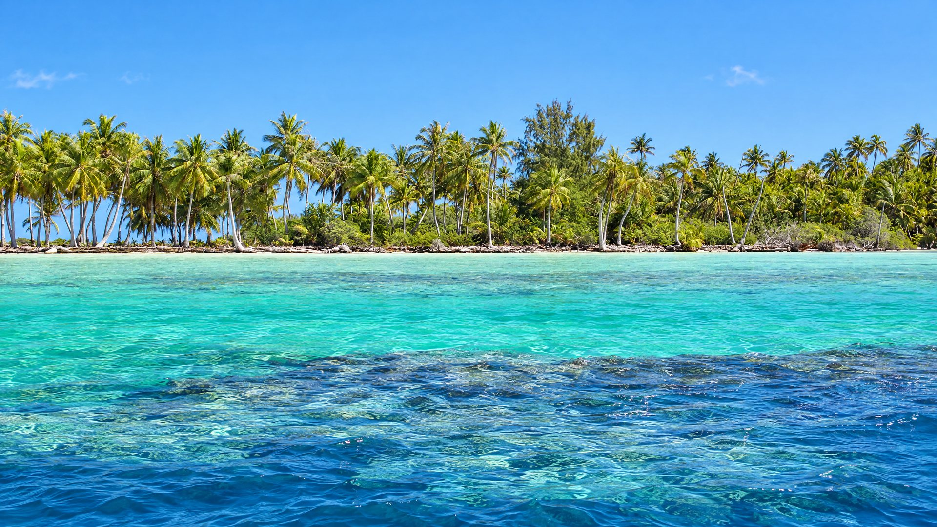 The green inner lagoon at motu Farakau on Fakarava
